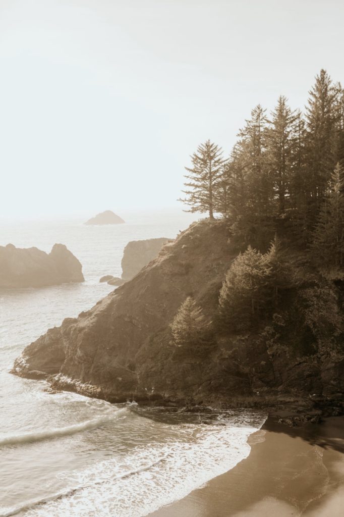 Choosing An Oregon Elopement Photographer: Everything You Need To Know. Breathtaking of Oregon with cliffs and the ocean.